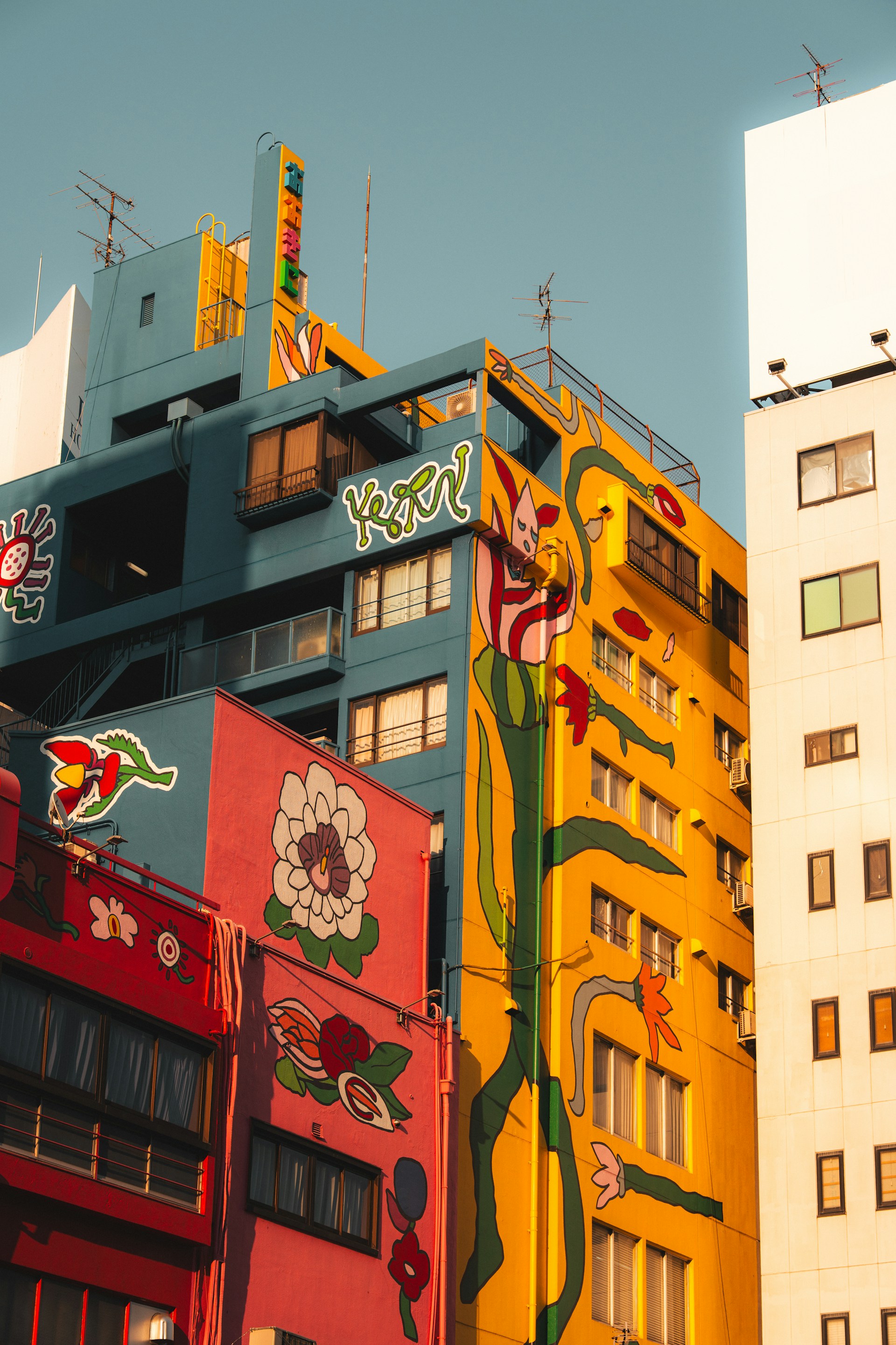 alexander-kaufmann-jjJEr_-N3OA-unsplash
