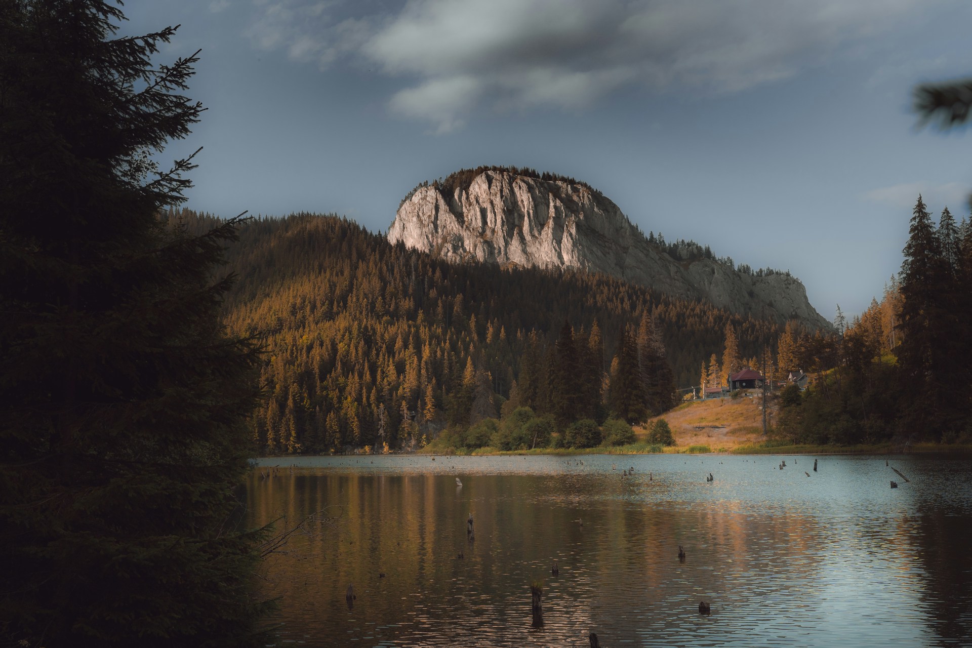 andrei-r-popescu-nDR0OLeQ9AY-unsplash