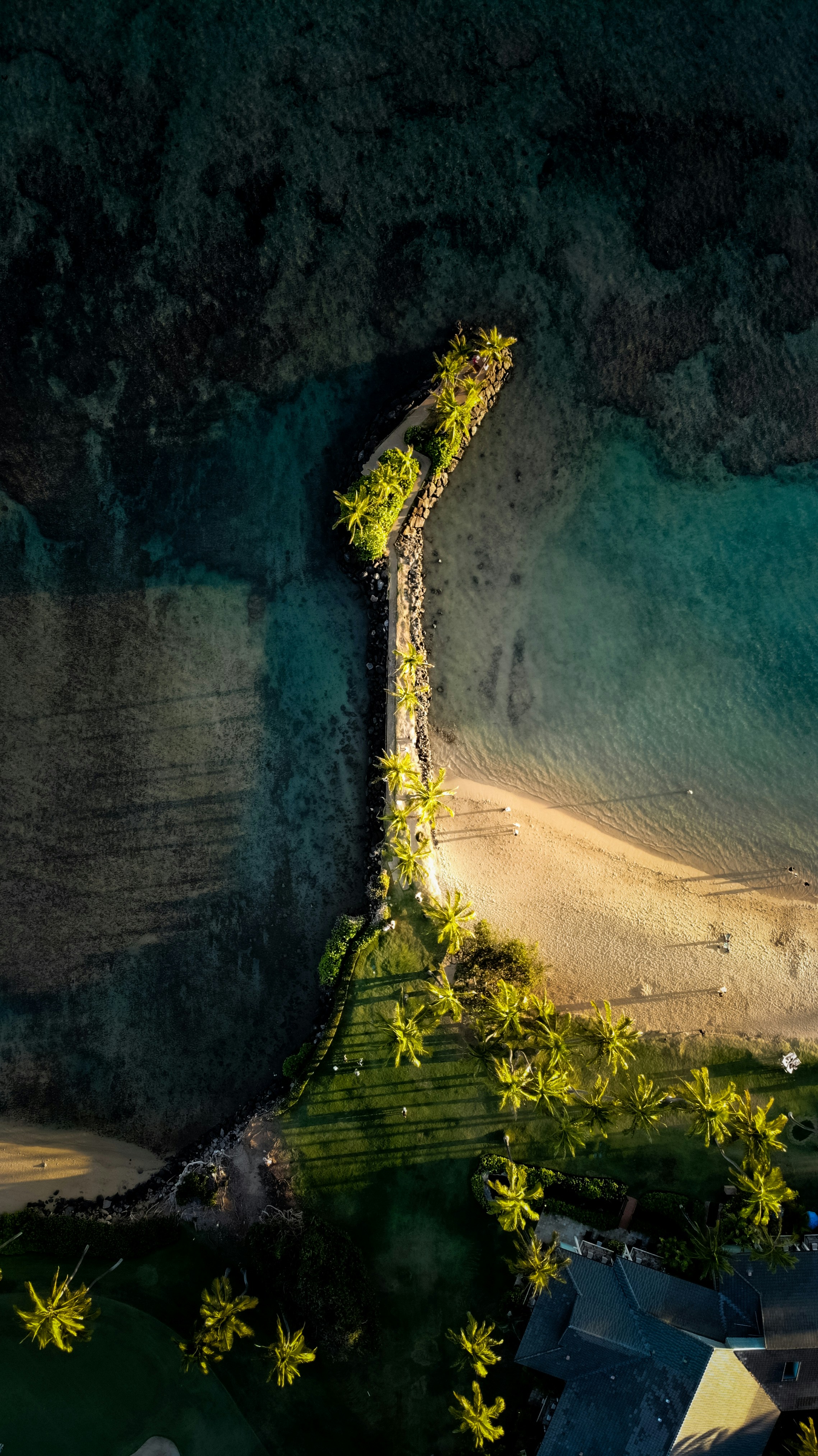 anthony-ermitano-E-0L7UrVlc4-unsplash
