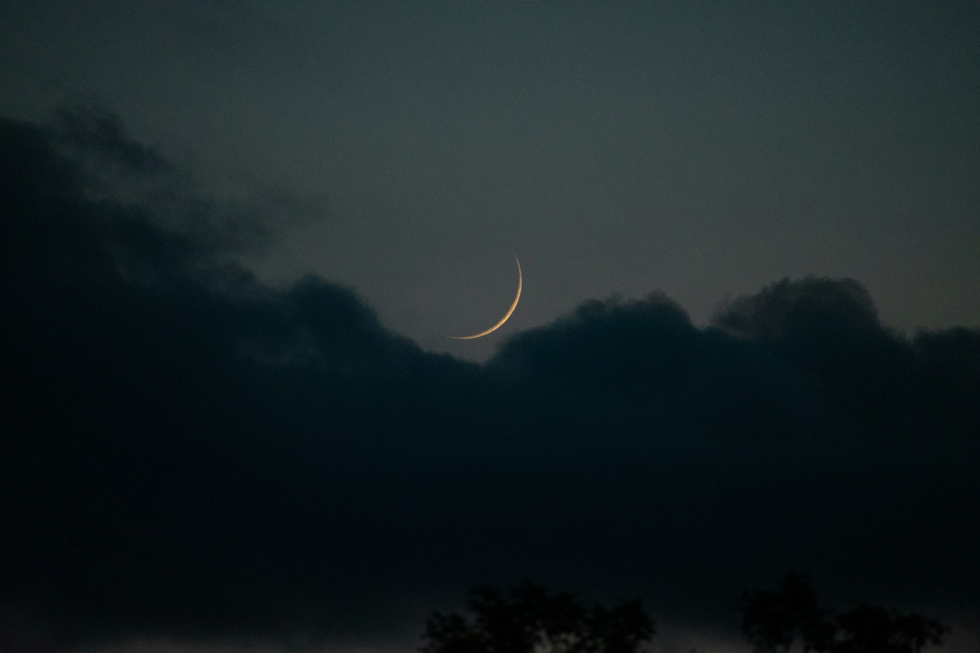 benjamin-wark-UjvWvSV1KrA-unsplash