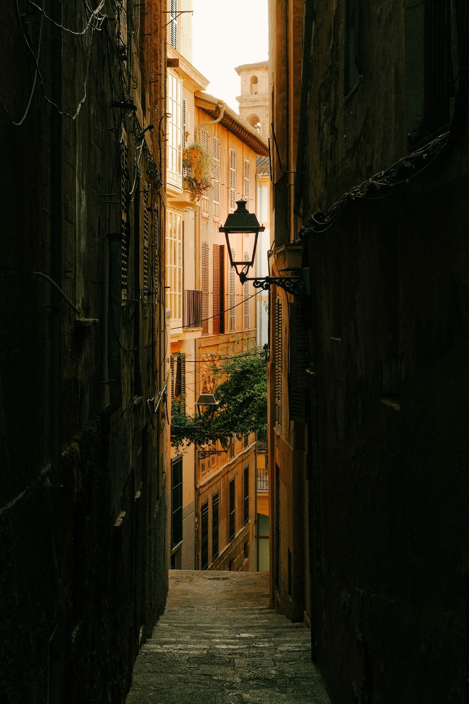 mirjam-schuinder-5j8bf62-SmQ-unsplash
